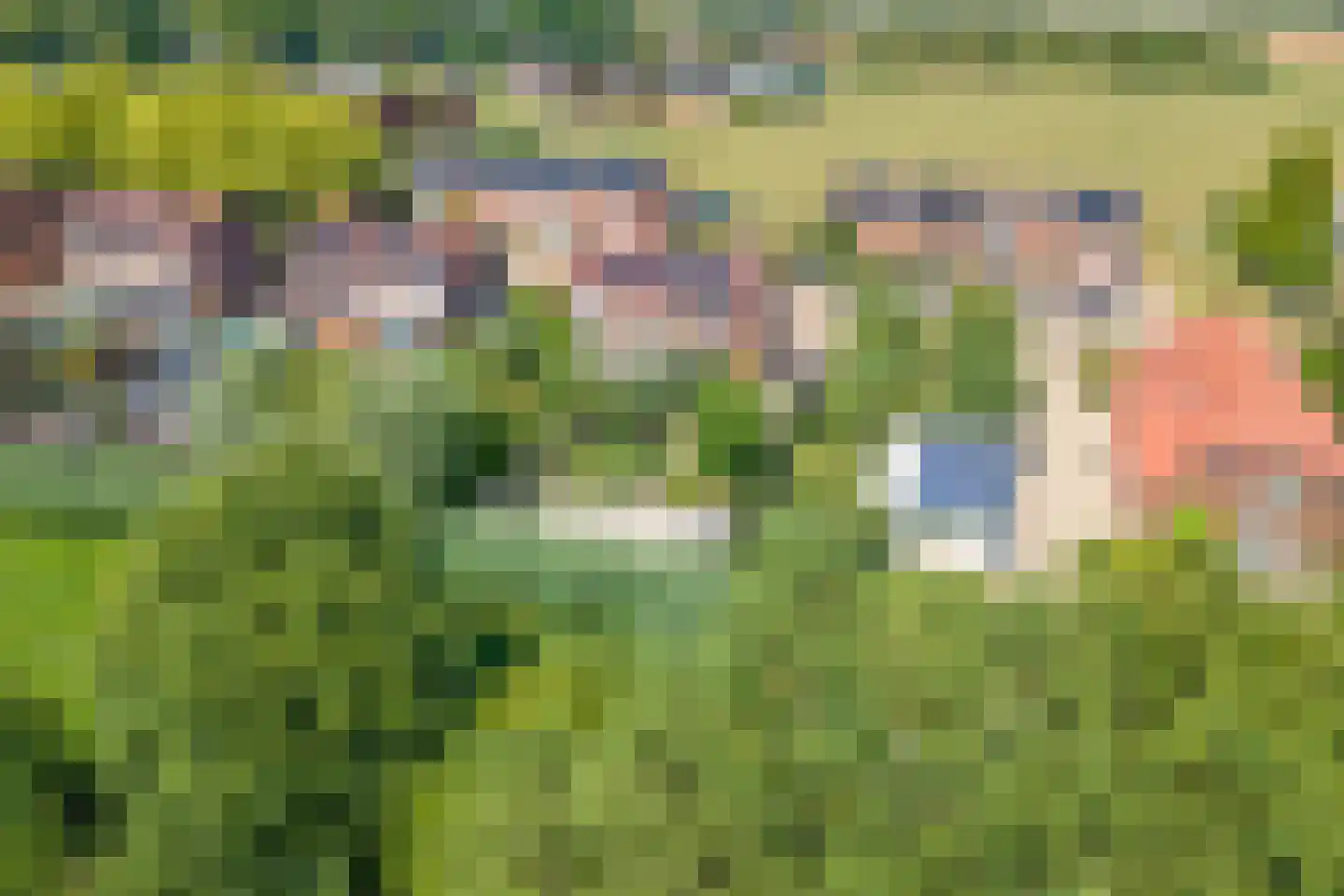 Gerestraat 19 Heesselt thumbnail 57