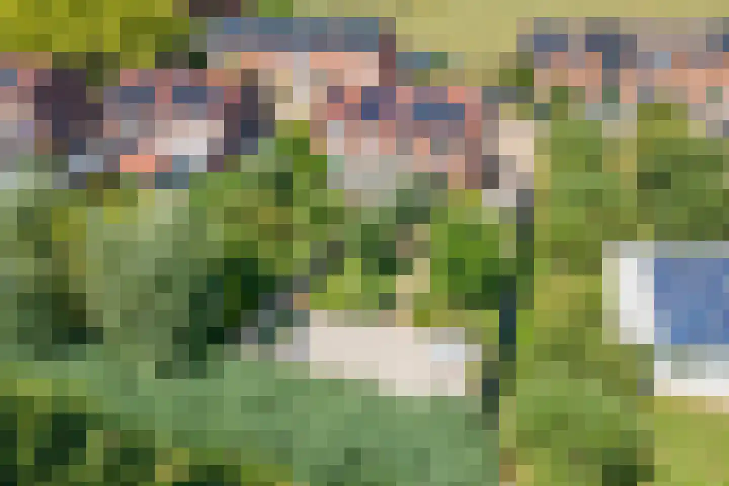 Gerestraat 19 Heesselt thumbnail 58