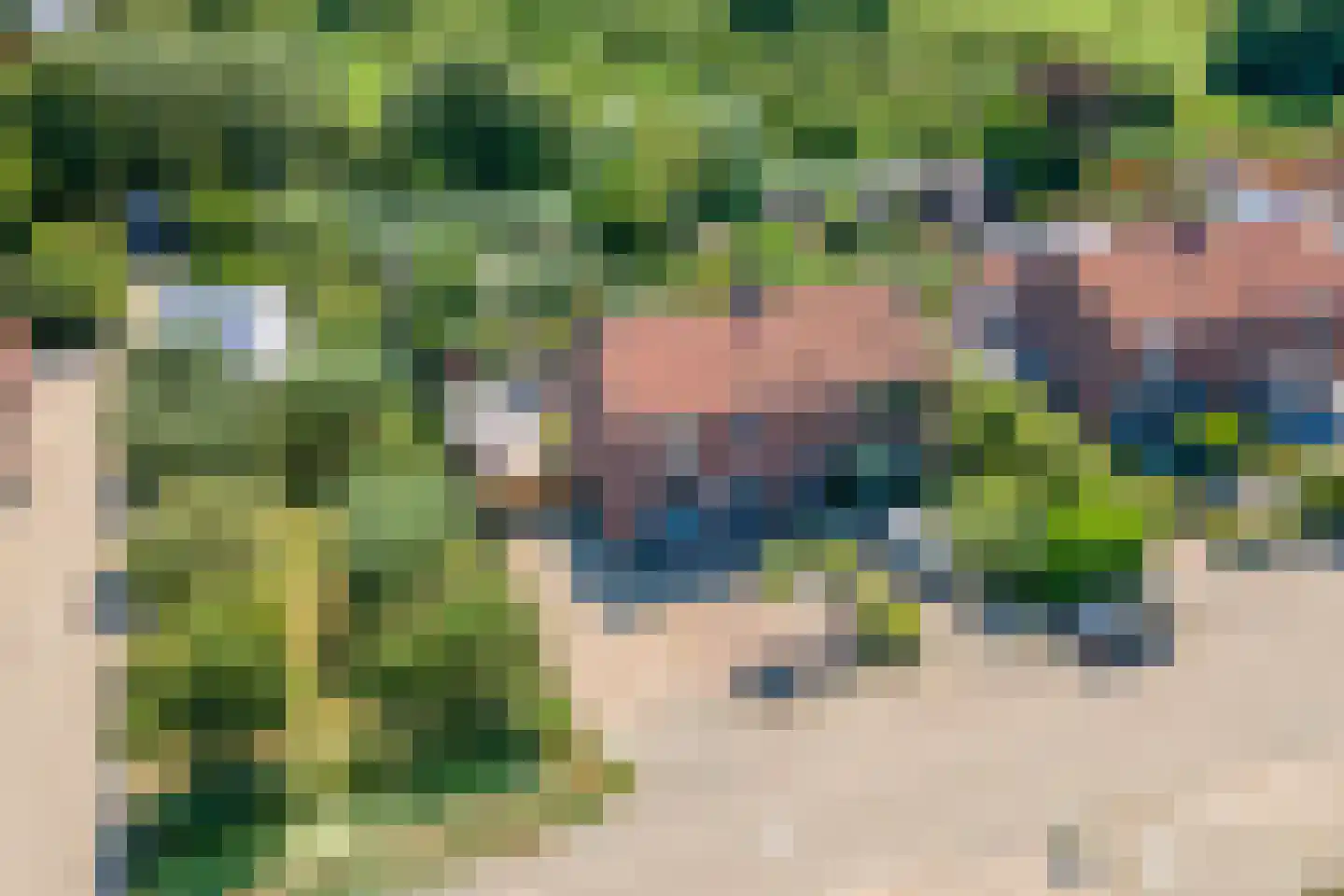 Gerestraat 19 Heesselt thumbnail 60