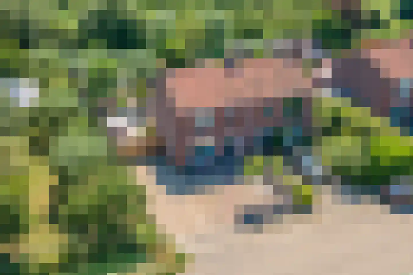 Gerestraat 19 Heesselt thumbnail 61