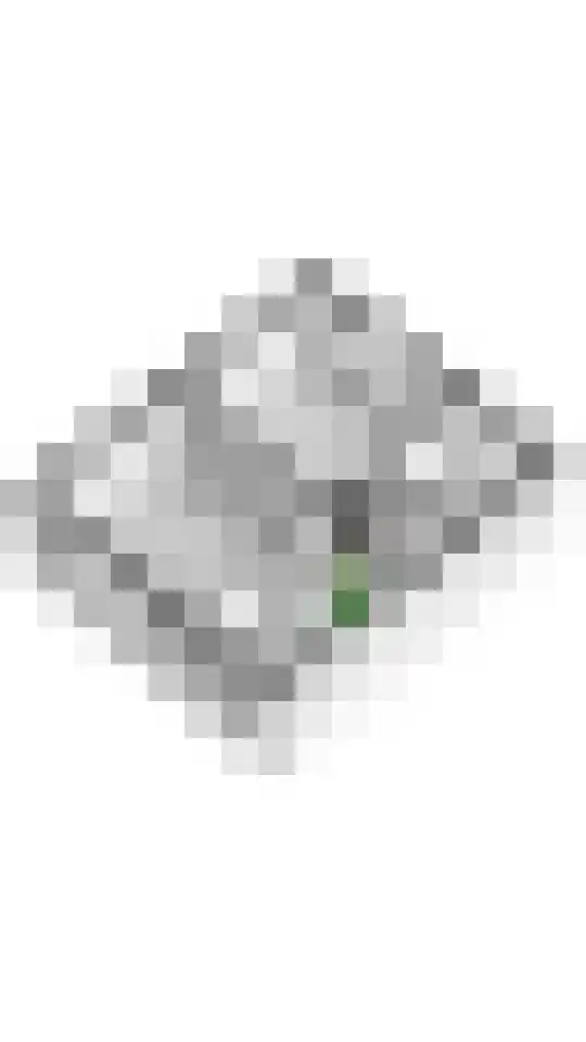 Gerestraat 19 Heesselt thumbnail 65