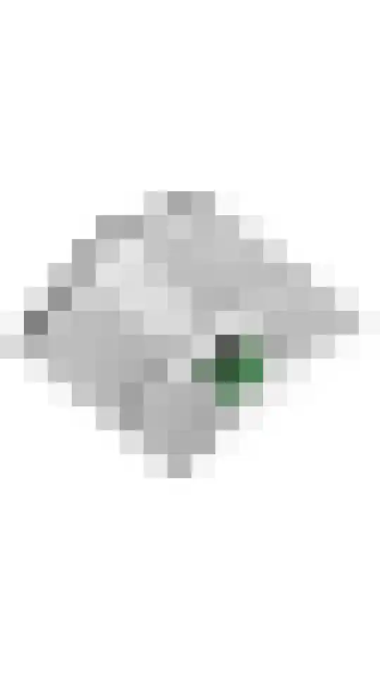 Gerestraat 19 Heesselt thumbnail 67