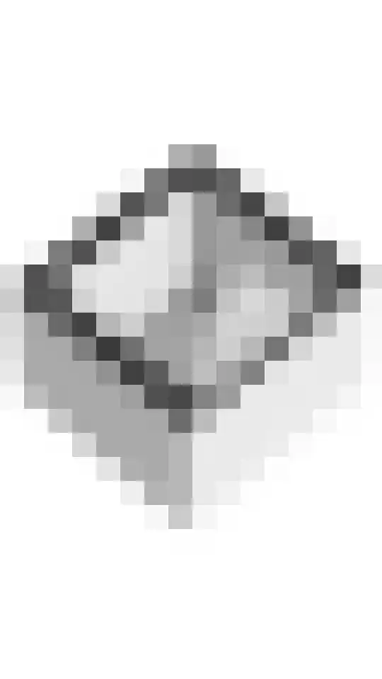 Gerestraat 19 Heesselt thumbnail 69