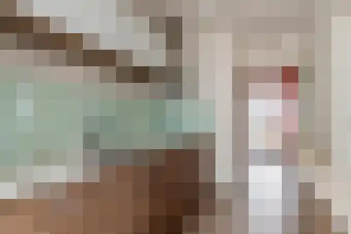 Gerestraat 26 Heesselt thumbnail 10