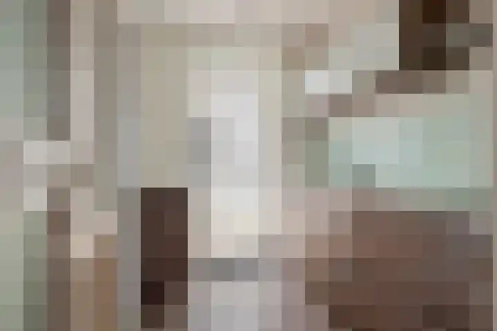 Gerestraat 26 Heesselt thumbnail 11