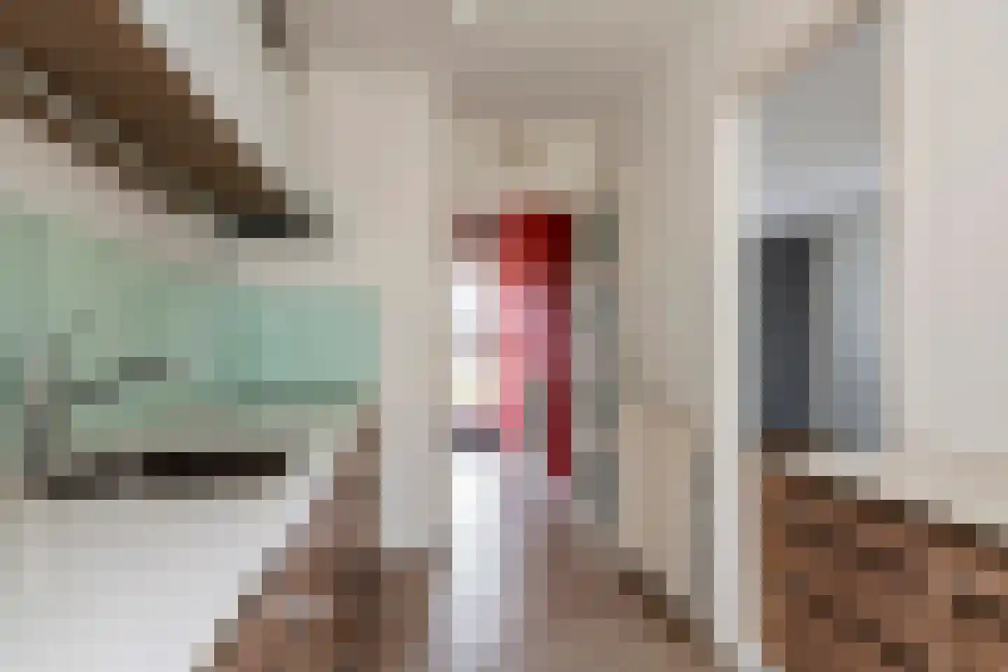 Gerestraat 26 Heesselt thumbnail 12