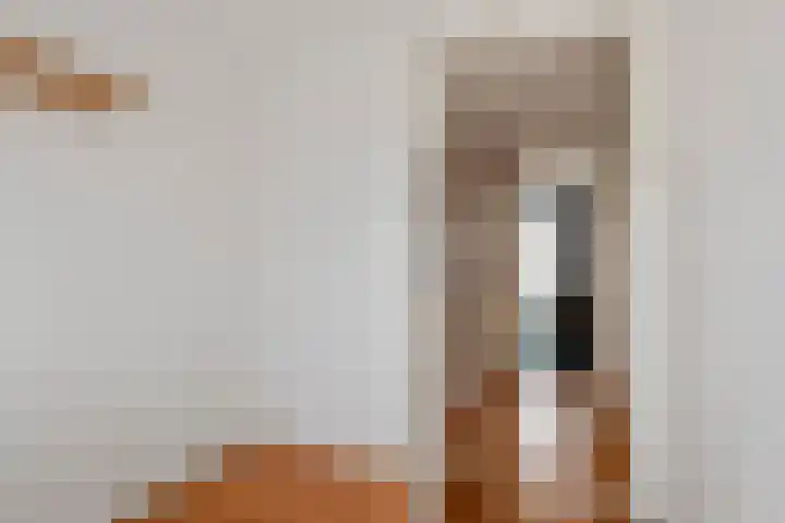 Gerestraat 26 Heesselt thumbnail 26
