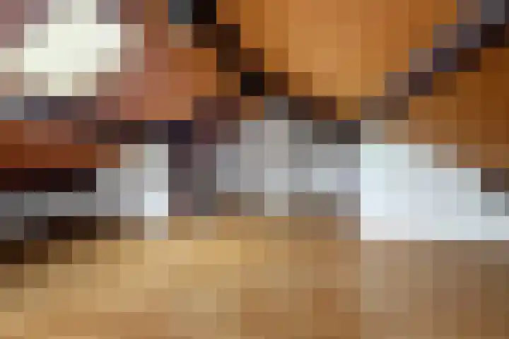 Gerestraat 26 Heesselt thumbnail 34
