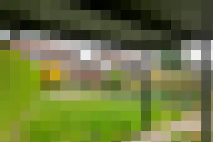 Gerestraat 26 Heesselt thumbnail 37