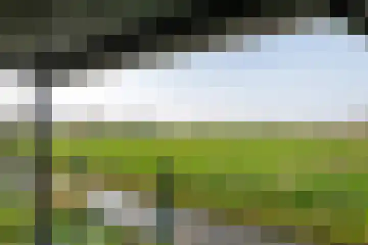 Gerestraat 26 Heesselt thumbnail 38