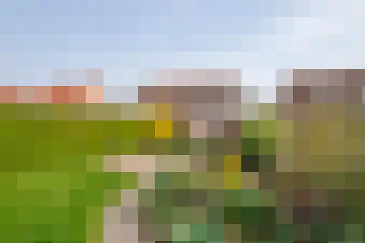 Gerestraat 26 Heesselt thumbnail 39
