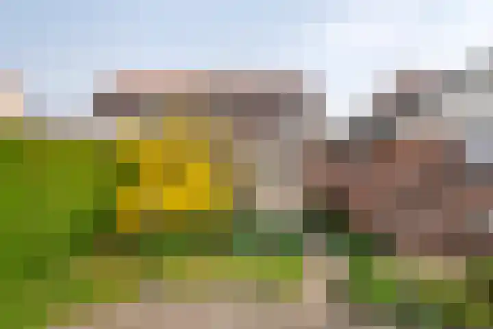 Gerestraat 26 Heesselt thumbnail 40