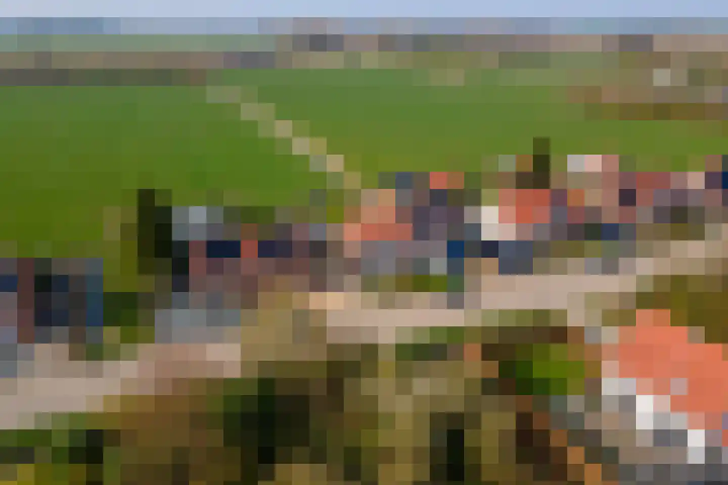 Gerestraat 26 Heesselt thumbnail 41
