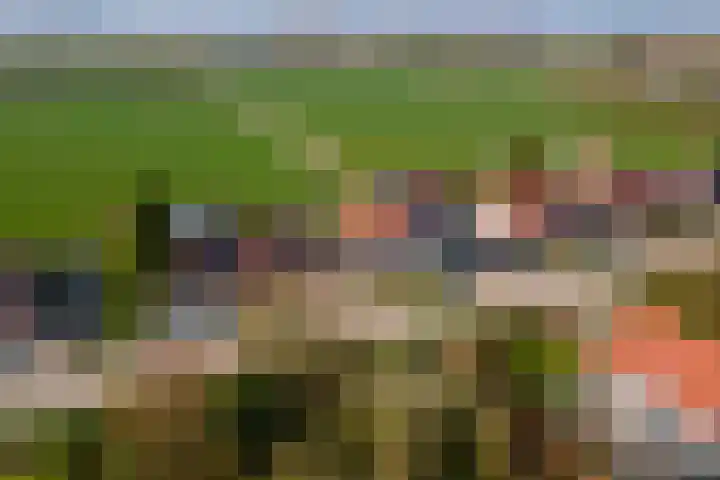 Gerestraat 26 Heesselt thumbnail 41