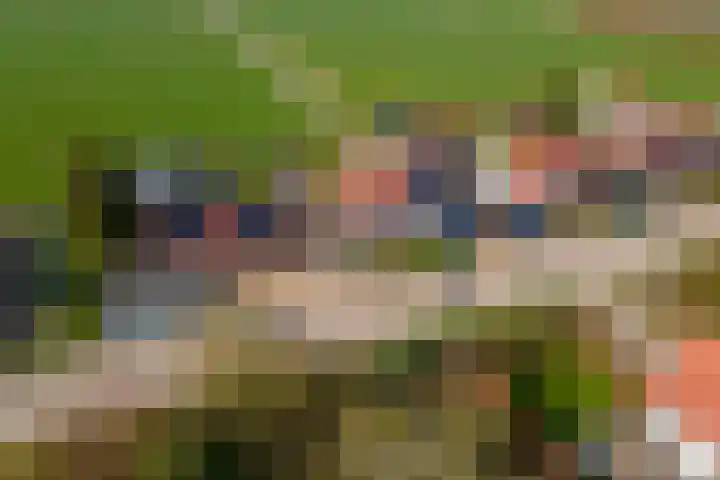 Gerestraat 26 Heesselt thumbnail 42