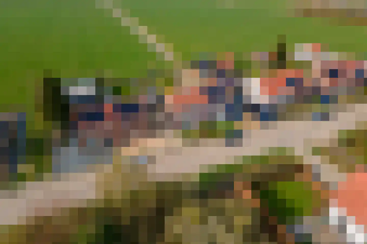 Gerestraat 26 Heesselt thumbnail 42