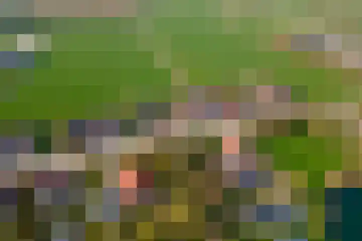 Gerestraat 26 Heesselt thumbnail 43