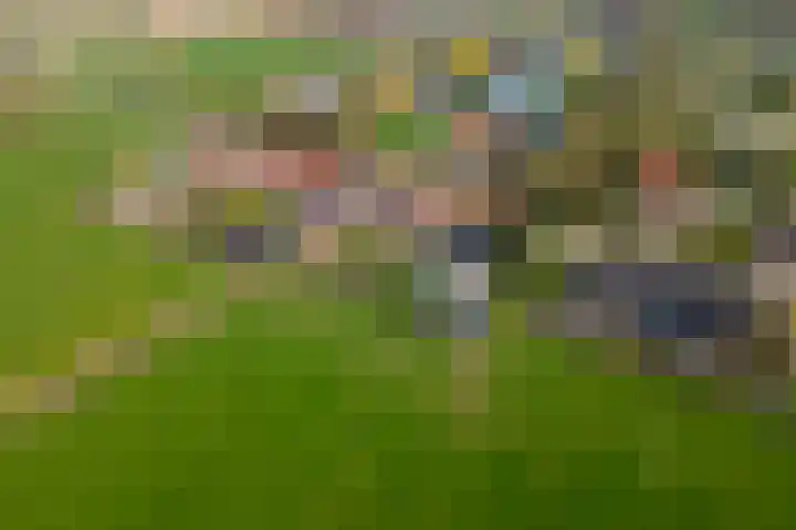 Gerestraat 26 Heesselt thumbnail 44