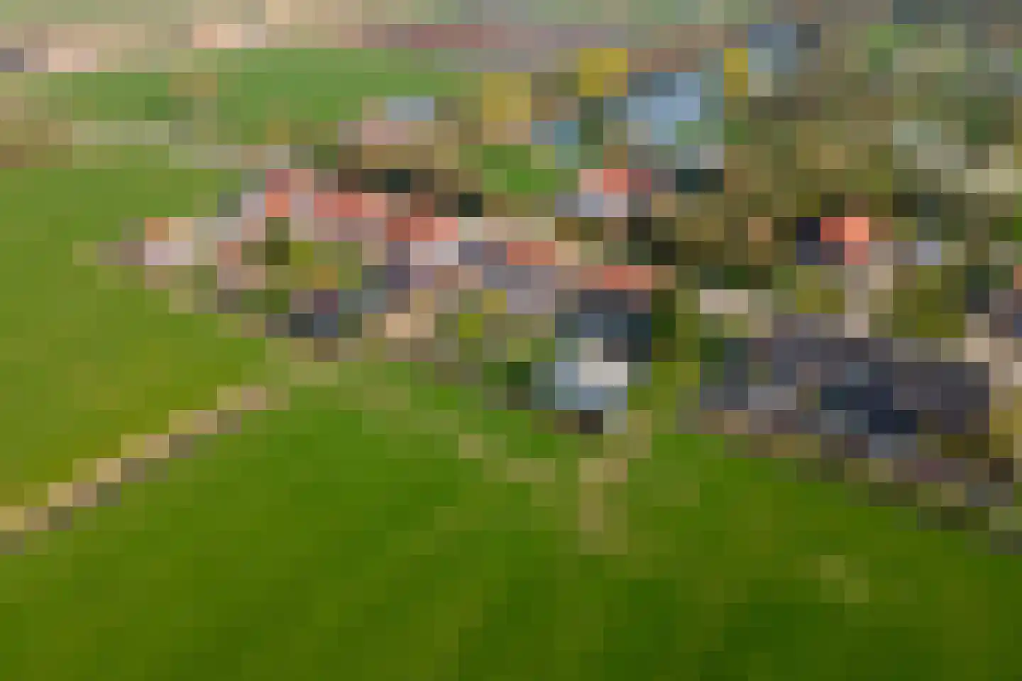 Gerestraat 26 Heesselt thumbnail 44