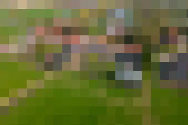 Gerestraat 26 Heesselt thumbnail 45