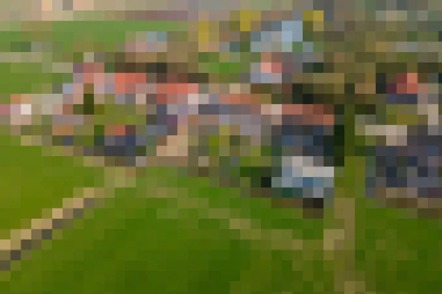 Gerestraat 26 Heesselt thumbnail 45