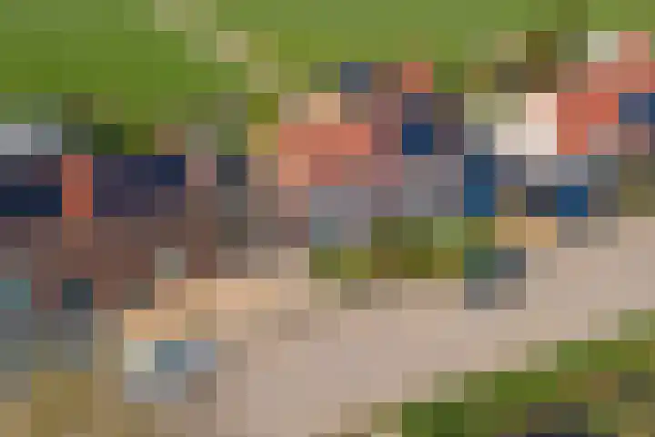Gerestraat 26 Heesselt thumbnail 46