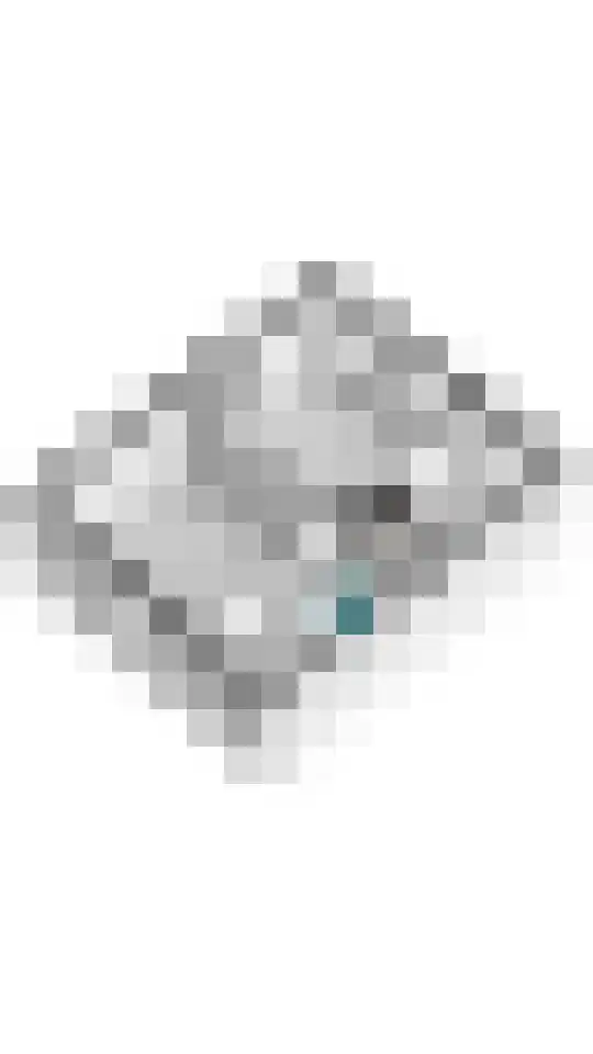 Gerestraat 26 Heesselt thumbnail 51