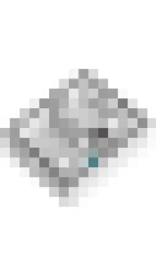 Gerestraat 26 Heesselt thumbnail 51
