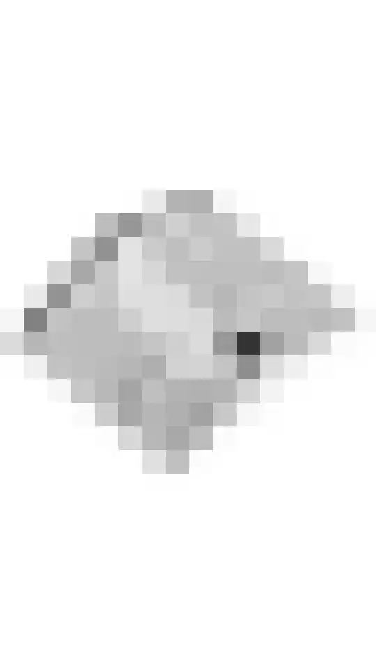 Gerestraat 26 Heesselt thumbnail 53
