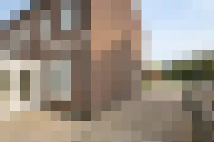 Gerestraat 26 Heesselt thumbnail 8
