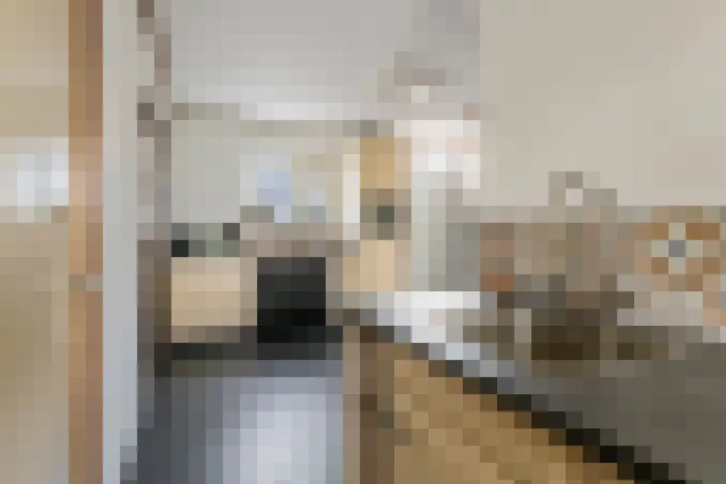 Gerestraat 4 Heesselt thumbnail 12