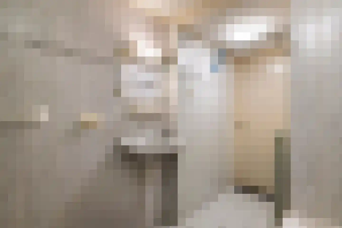 Gerestraat 4 Heesselt thumbnail 18