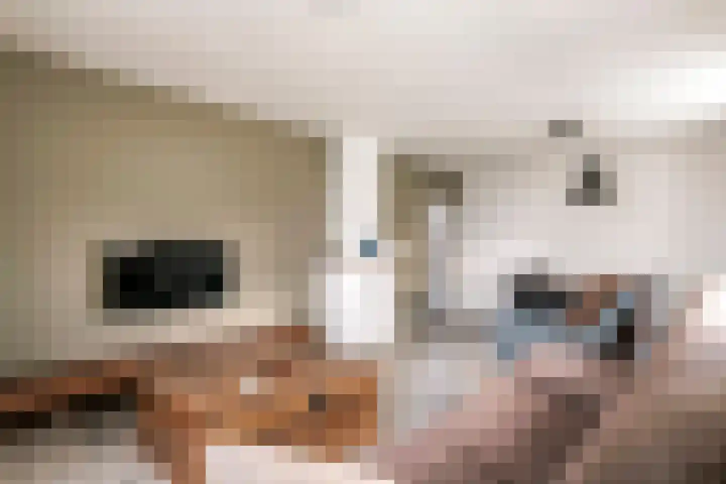 Gerestraat 4 Heesselt thumbnail 21