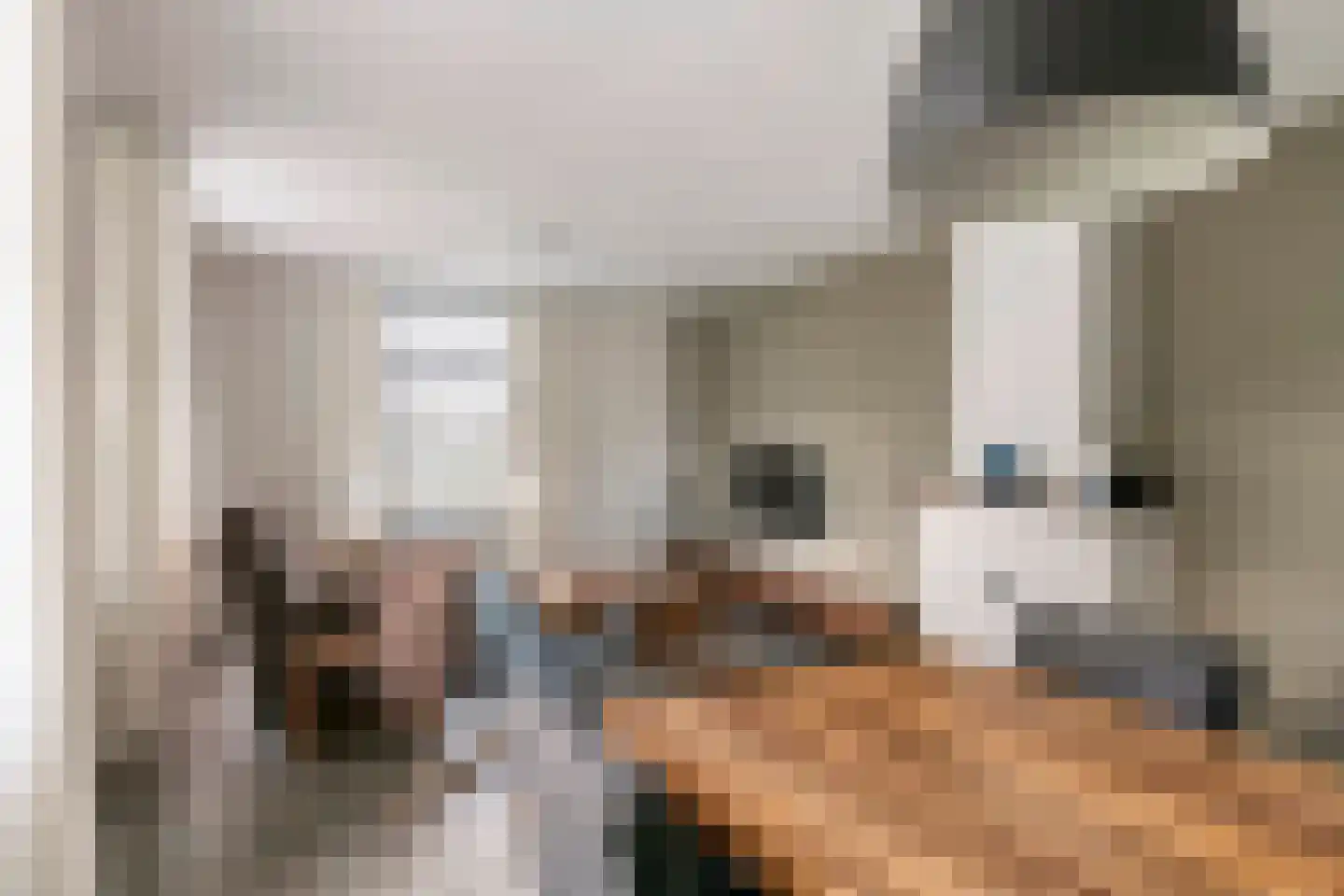 Gerestraat 4 Heesselt thumbnail 22