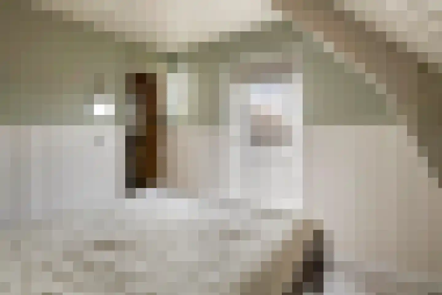 Gerestraat 4 Heesselt thumbnail 30