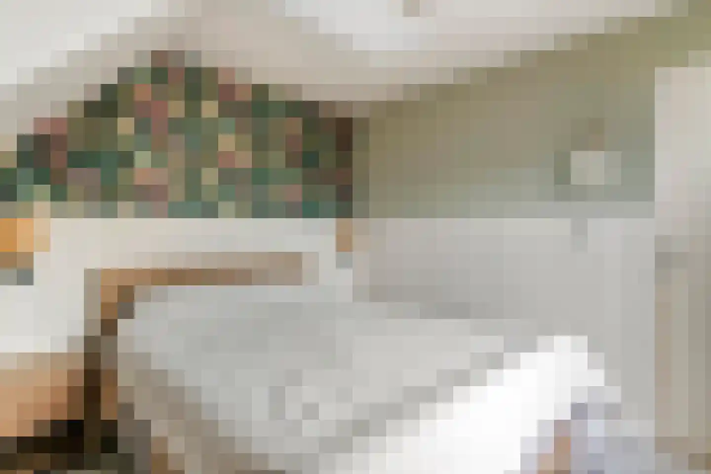 Gerestraat 4 Heesselt thumbnail 31