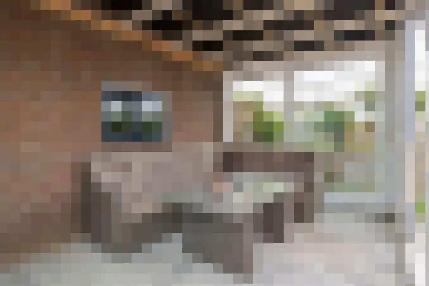 Gerestraat 4 Heesselt thumbnail 43