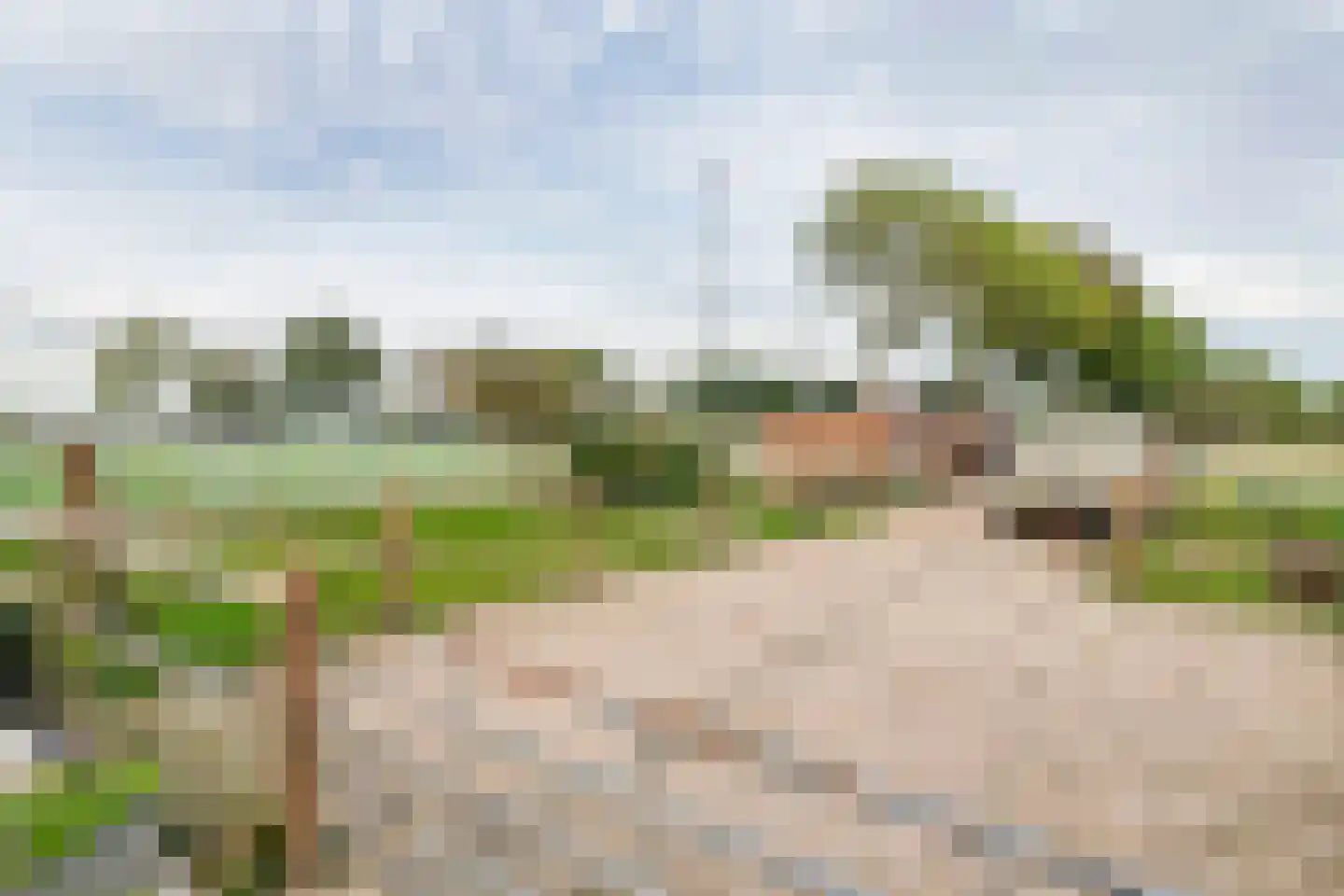 Gerestraat 4 Heesselt thumbnail 46