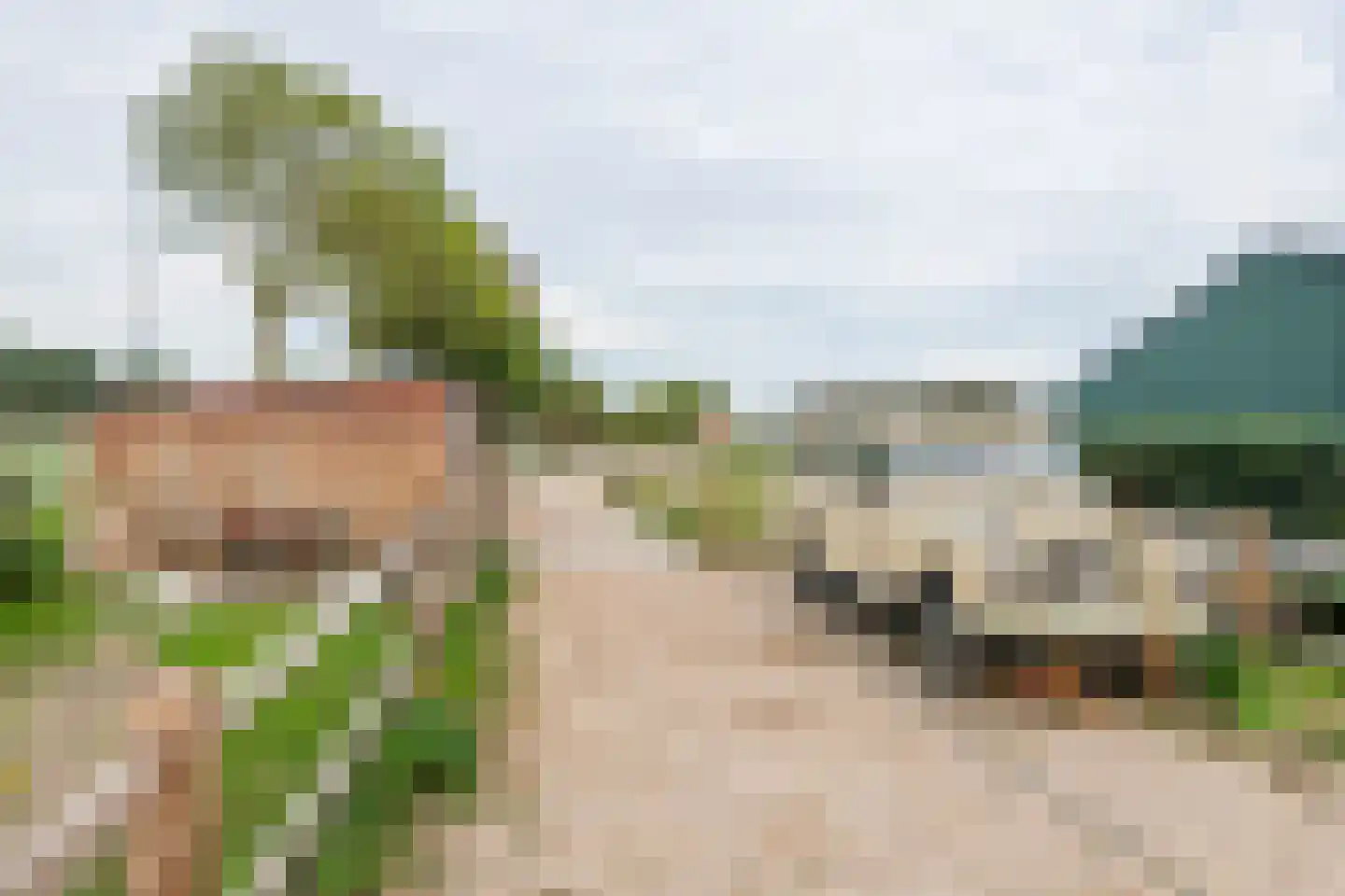 Gerestraat 4 Heesselt thumbnail 47