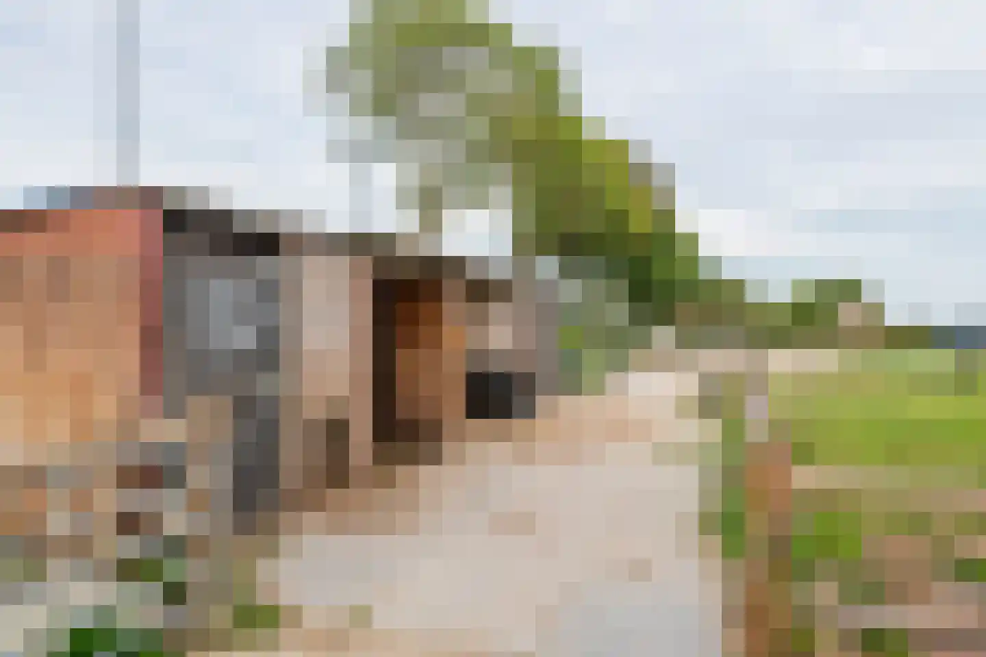 Gerestraat 4 Heesselt thumbnail 48