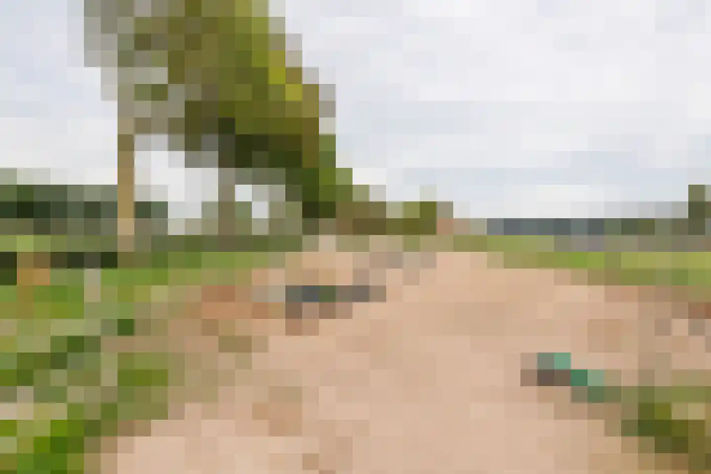 Gerestraat 4 Heesselt thumbnail 51