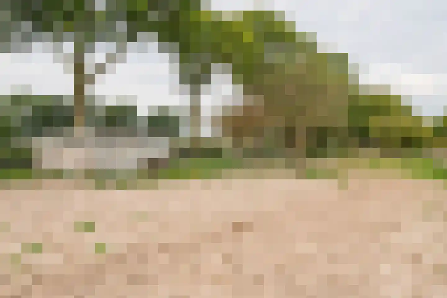 Gerestraat 4 Heesselt thumbnail 52