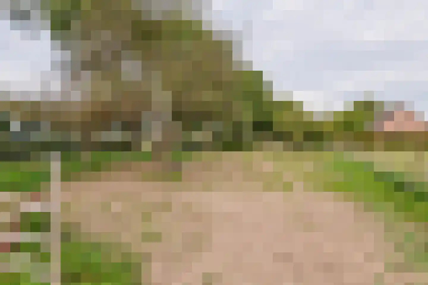 Gerestraat 4 Heesselt thumbnail 53