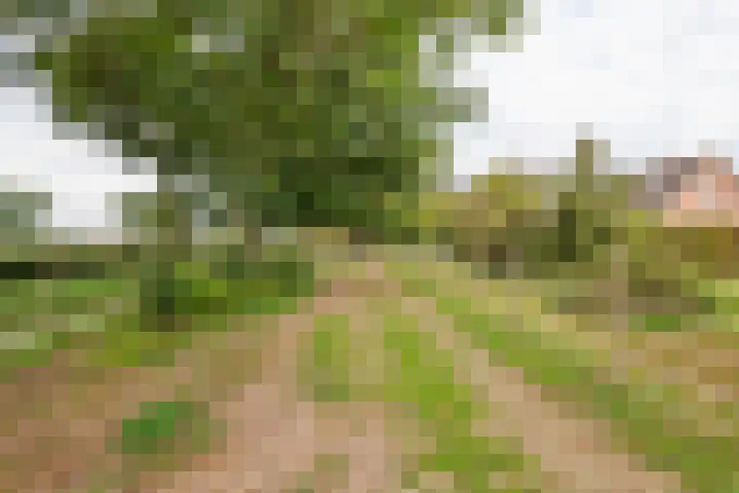 Gerestraat 4 Heesselt thumbnail 54