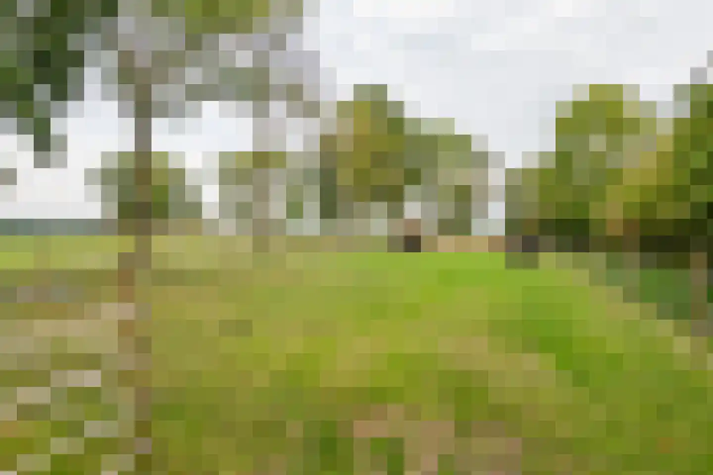 Gerestraat 4 Heesselt thumbnail 55