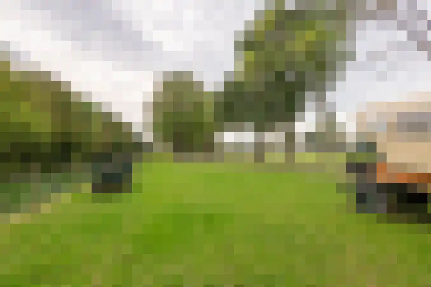 Gerestraat 4 Heesselt thumbnail 56