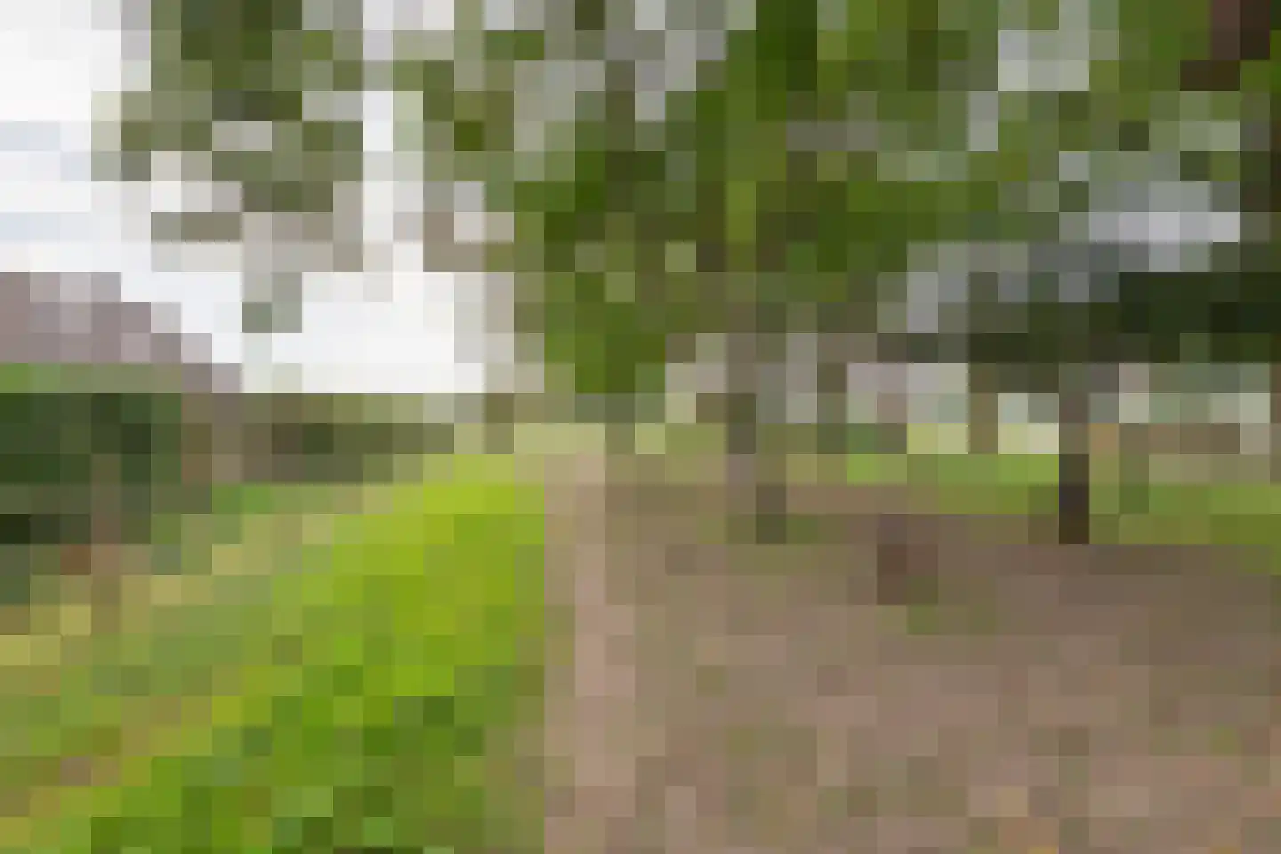 Gerestraat 4 Heesselt thumbnail 57