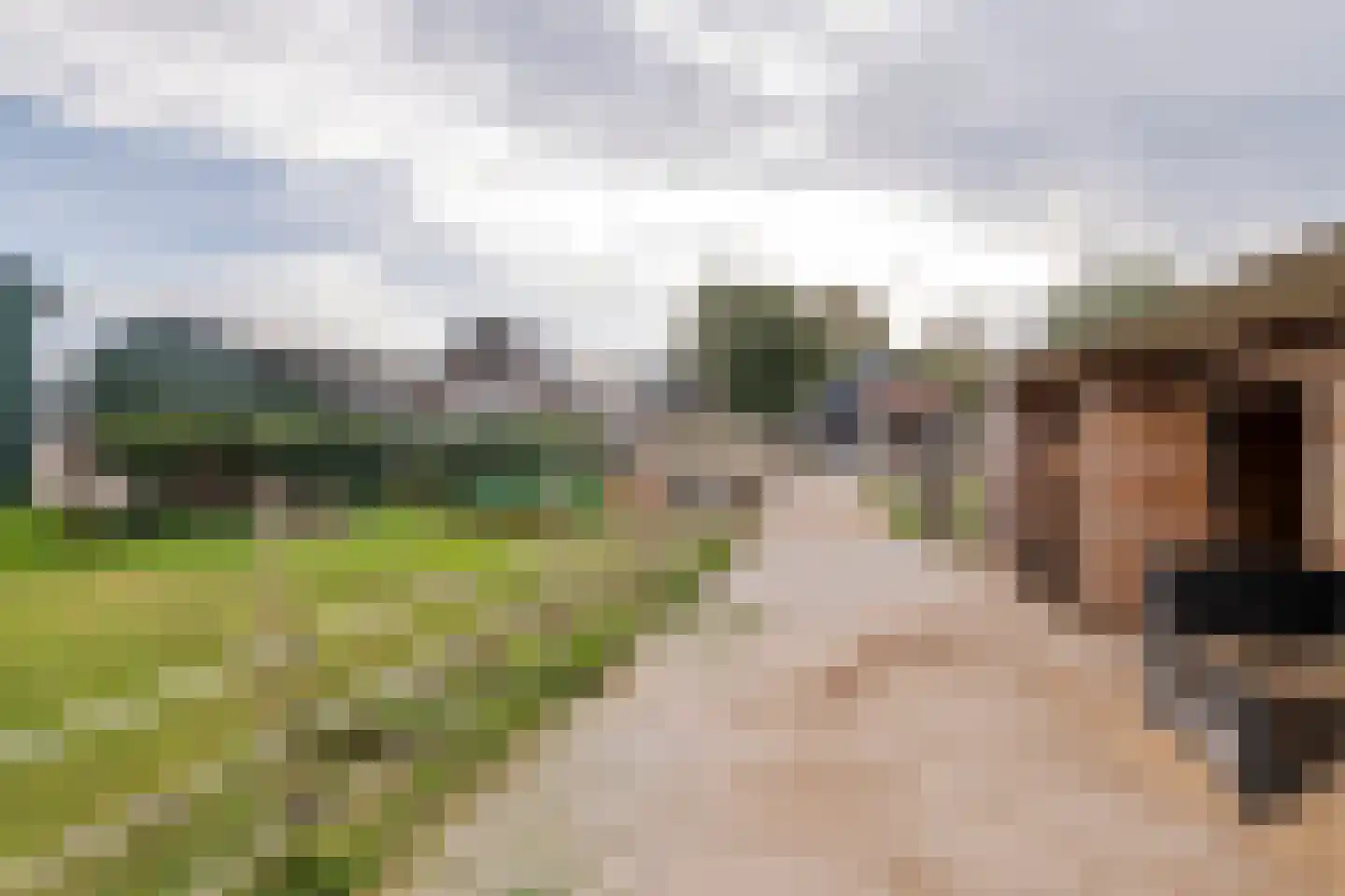 Gerestraat 4 Heesselt thumbnail 59