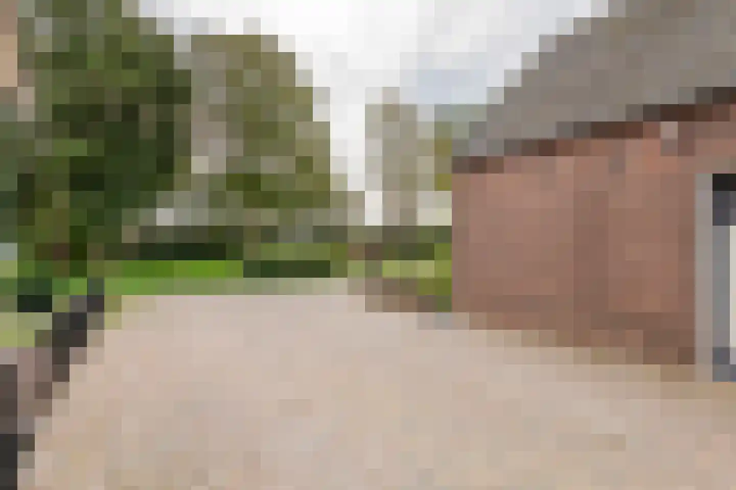 Gerestraat 4 Heesselt thumbnail 6