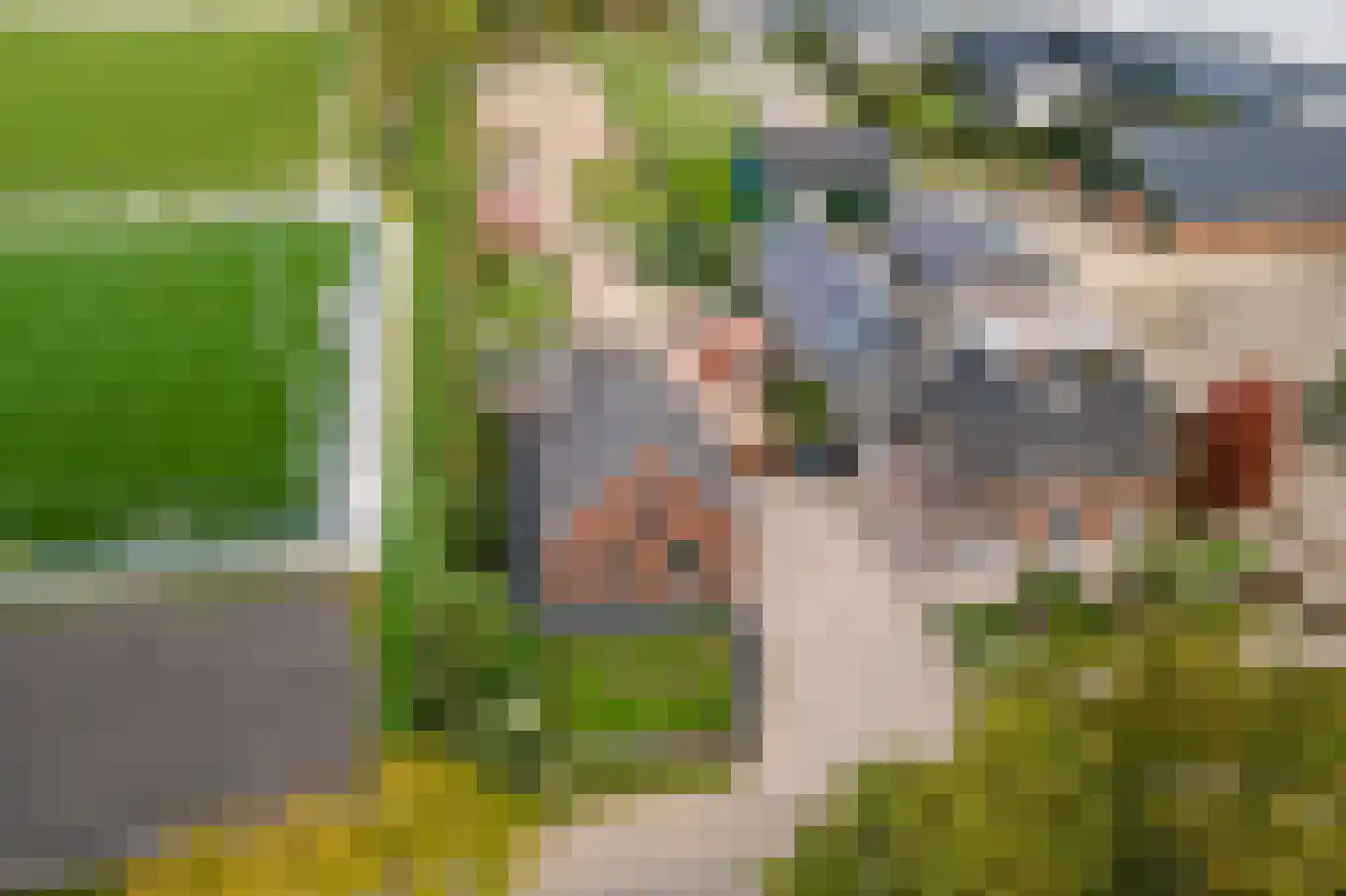 Gerestraat 4 Heesselt thumbnail 60